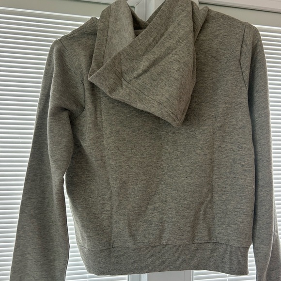 Big Girls' Core Heather Long Sleeve Hoodie, Gray, Size XL for 5-6 Years Girls. - Picture 2 of 4